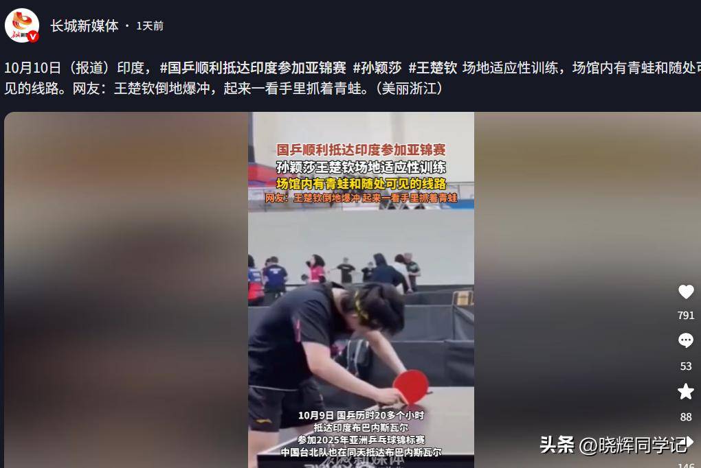 包含中国队完胜印度队，戴资颖带队取胜的词条